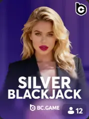 Silver Blackjack BC Game France game cover