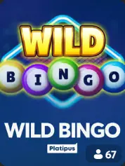 Wild Bingo BC Game France game cover