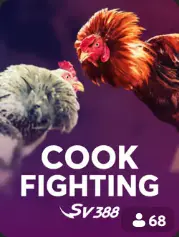 Cock Fighting BC Game France game cover