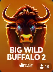 Big Wild Buffalo 2 BC Game France game cover