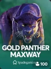 Gold Panther Maxway BC Game France game cover